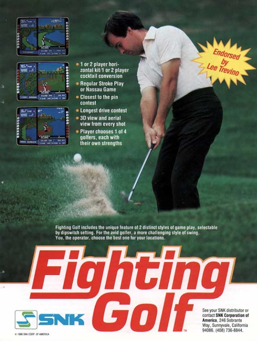 Carátula de Fighting Golf